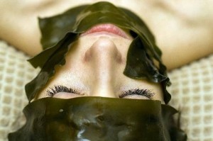 algae-seaweed-for-skin